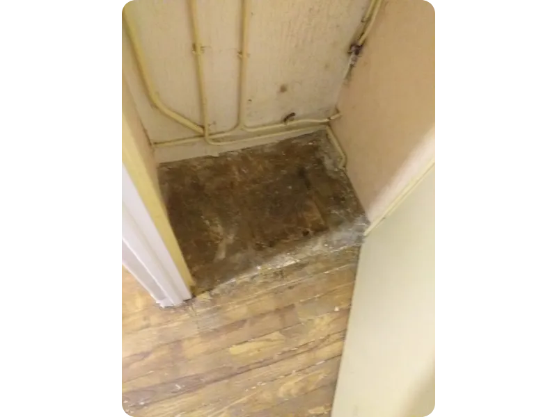 before-image